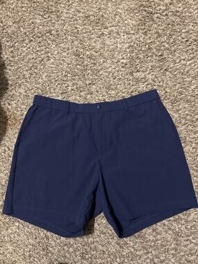 Bearbottom 5.5 inseam Shorts XL